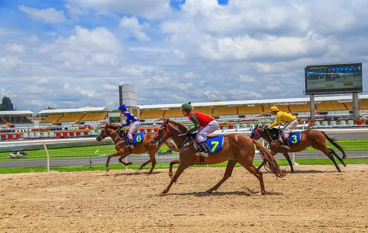 Trải Nghiệm Tìm Hiểu Cá Cược Đua Ngựa 77Ball Đỉnh Cao Nhận Thưởng Lớn Ngay