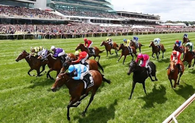 Trải Nghiệm Tìm Hiểu Cá Cược Đua Ngựa 77Ball Đỉnh Cao Nhận Thưởng Lớn Ngay