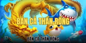 Làm Chủ Bắn Cá Rồng Tại 77Ball Săn Rồng Vàng Nhận Thưởng