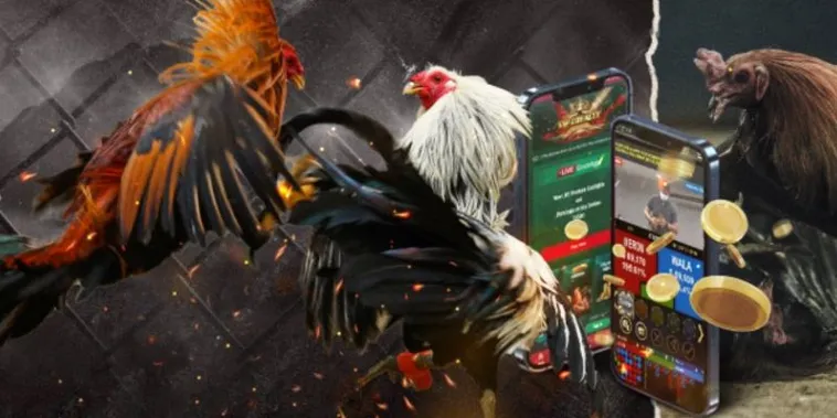 Áp Dụng Cách Chơi Đá Gà GA28 Tại 77Ball Giúp Bạn Hốt Bạc Tỷ 2 Áp Dụng Cách Chơi Đá Gà GA28 Tại 77Ball Giúp Bạn Hốt Bạc Tỷ