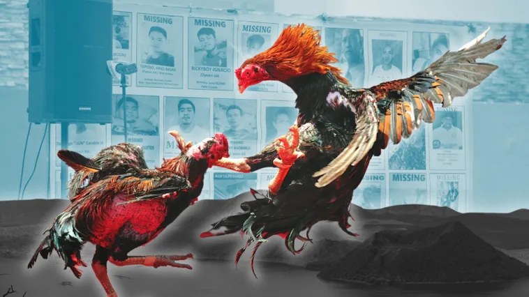 Bí Kíp Và Cách Chơi Đá Gà Sabong Tại 77Ball Để Trở Thành Cao Thủ Sàn Đấu